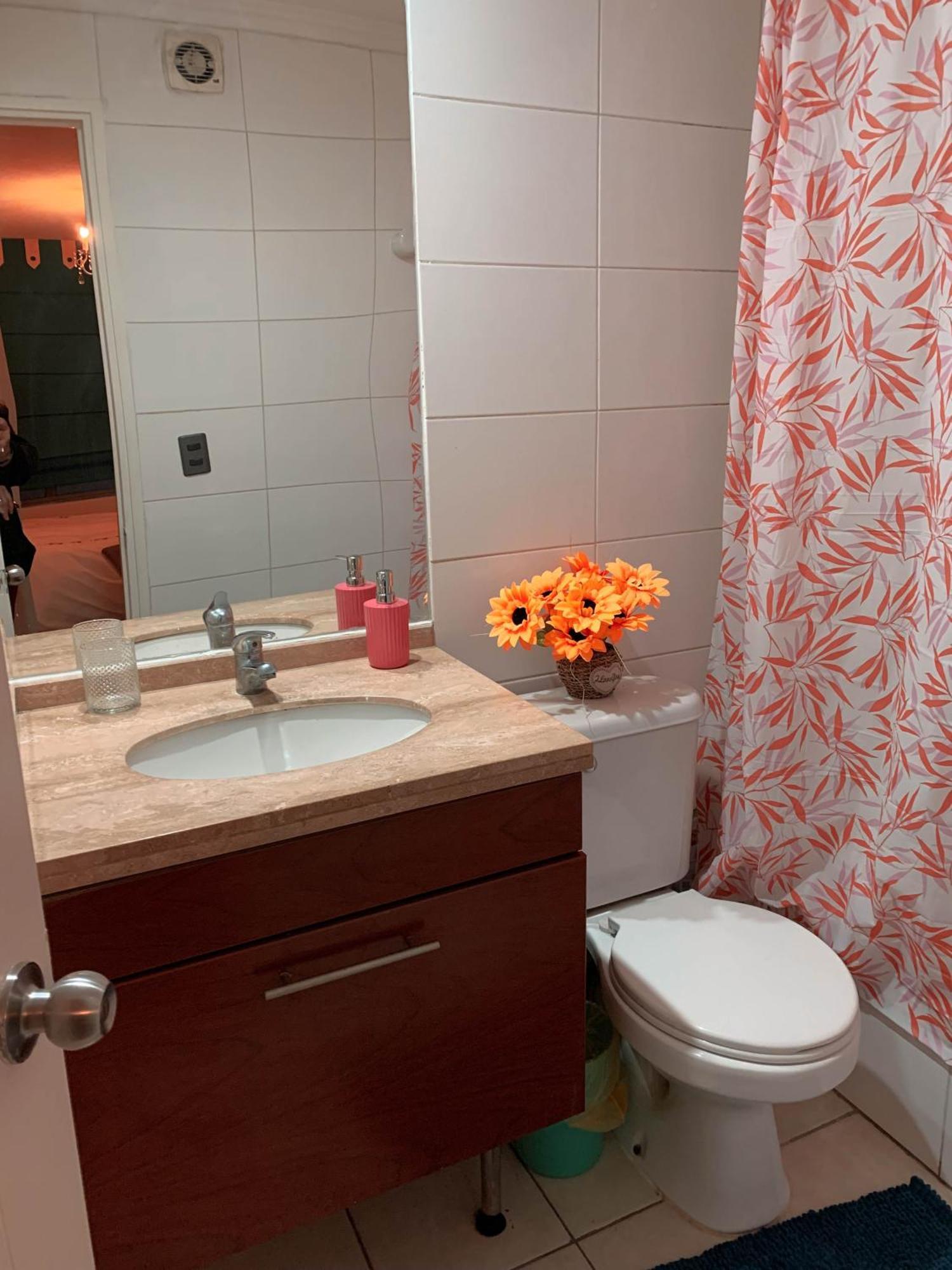 Apartment Depto 5 Metro Plaza De Armas 1 1 Bano